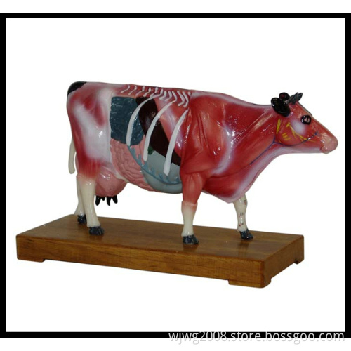 Acupuncture Animal Model (M-6-C)